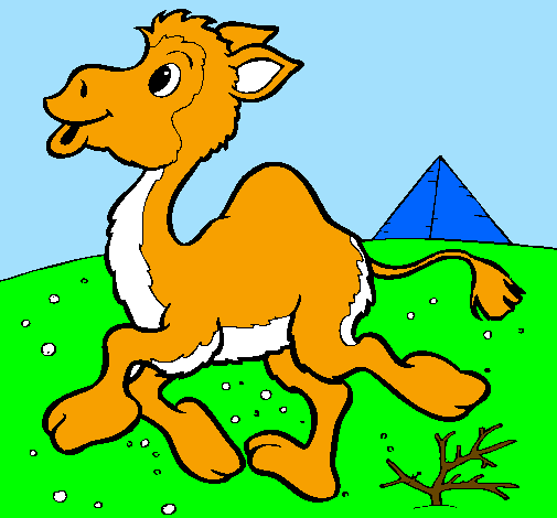 Desenho Camelo pintado por rita da luz botelho