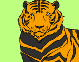 Desenho Tigre pintado por andressinha