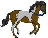 Desenho Cavalo 5 pintado por pangare