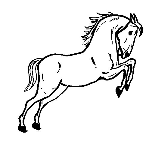 Desenho Cavalo a saltar pintado por Fernanda