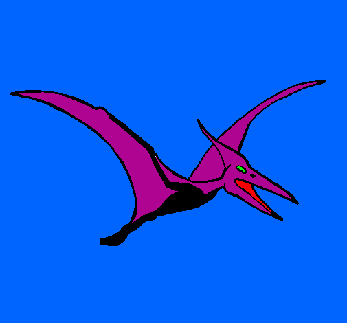 Desenho Pterodáctilo pintado por piterosauro