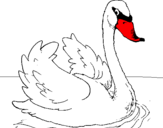Desenho Cisne na água pintado por teste