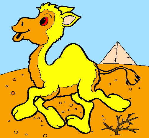 Desenho Camelo pintado por weila  