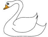 Desenho Cisne pintado por JP