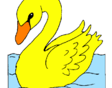 Desenho Cisne pintado por sandi