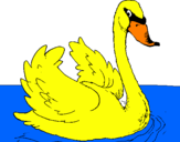 Desenho Cisne na água pintado por sandi