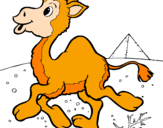 Desenho Camelo pintado por j