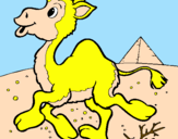 Desenho Camelo pintado por Frajola
