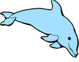 Desenho Golfinho contente pintado por cavalo marinho