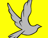 Desenho Pomba da paz a voar pintado por thiago