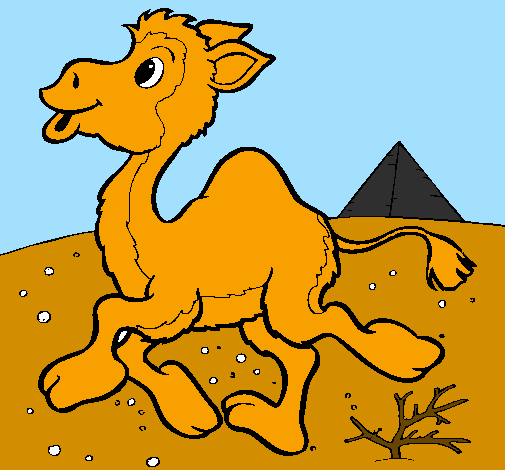Desenho Camelo pintado por PEDRO