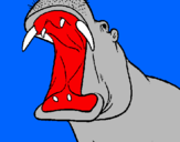 Desenho Hipopótamo com a boca aberta pintado por elisa