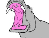 Desenho Hipopótamo com a boca aberta pintado por pedro