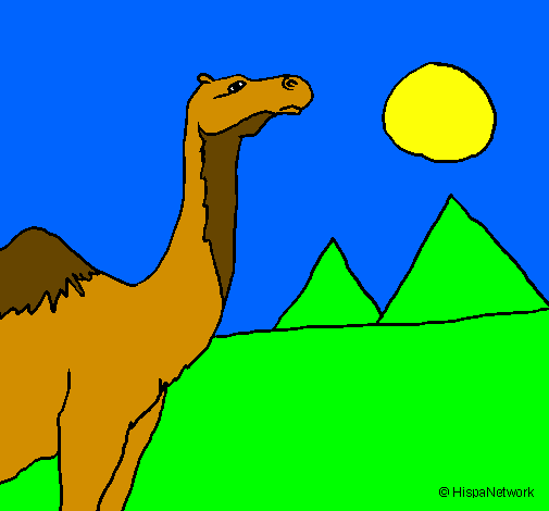 Desenho Camelo pintado por camelo