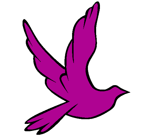 Desenho Pomba da paz a voar pintado por yasmim agatha
