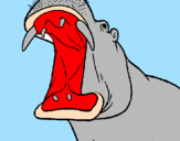 Desenho Hipopótamo com a boca aberta pintado por ggg