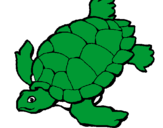 Desenho Tartaruga pintado por gabriel moraes
