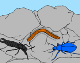 Desenho Vários insectos pintado por ggg
