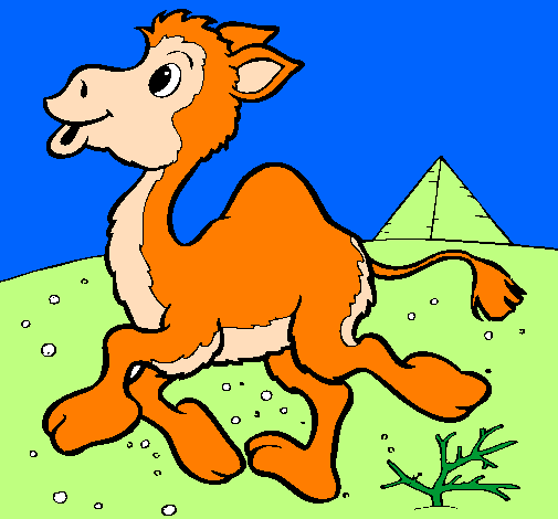 Desenho Camelo pintado por giovanna