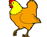 Desenho Galinha pintado por galinha amarelina