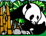 Desenho Urso panda e bambu pintado por Isa_rg