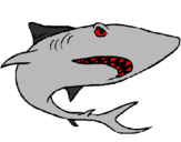 Desenho Tubarão pintado por tubarau