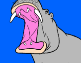 Desenho Hipopótamo com a boca aberta pintado por hipopótamo