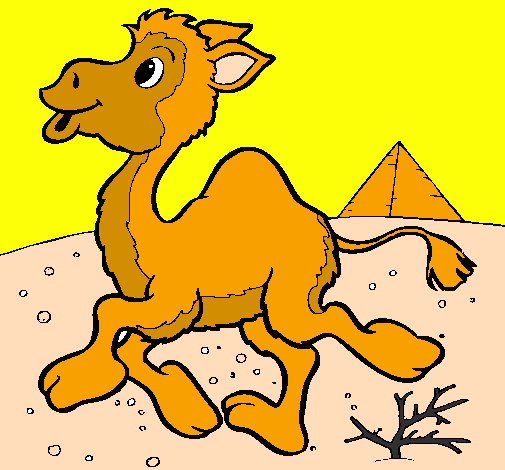 Desenho Camelo pintado por livia
