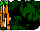 Desenho Urso panda e bambu pintado por michel y alondraY IARA