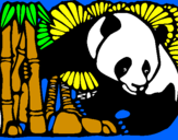 Desenho Urso panda e bambu pintado por rafa