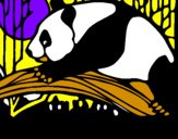Desenho Urso panda a comer pintado por rafa