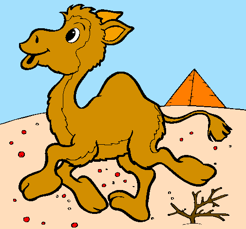 Desenho Camelo pintado por nathy