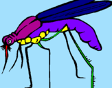 Desenho Mosquito pintado por Samuel