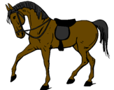 Desenho Cavalo de competição pintado por Cavalo 3