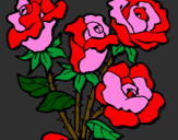 Desenho Ramo de rosas pintado por rosas