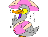 Desenho Pato sob a chuva pintado por PATO