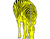 Desenho Zebra pintado por elasga
