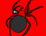 Desenho Aranha venenosa pintado por pedro