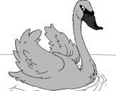 Desenho Cisne na água pintado por PATO