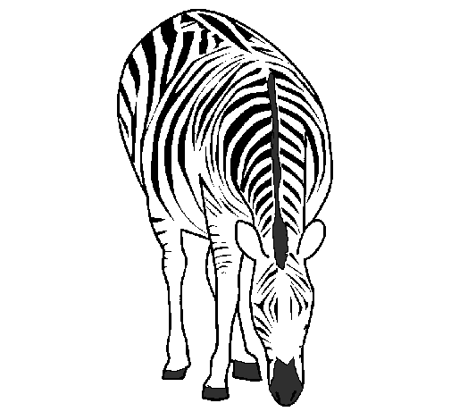 Desenho Zebra pintado por zebra comendo