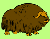 Desenho Bisonte  pintado por murilo