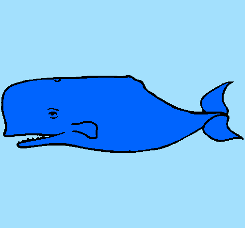 Desenho Baleia azul pintado por Polvo