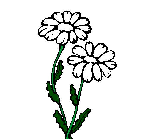 Desenho Margaridas pintado por flores