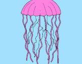 Desenho Medusa pintado por prmos