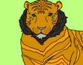Desenho Tigre pintado por lorena e murilo