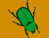 Desenho Escaravelho pintado por gibran dos santos