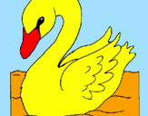 Desenho Cisne pintado por eduardo