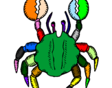 Desenho Caranguejo de grandes pinças pintado por carangueijo colorido