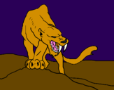 Desenho Tigre com dentes afiados pintado por fran
