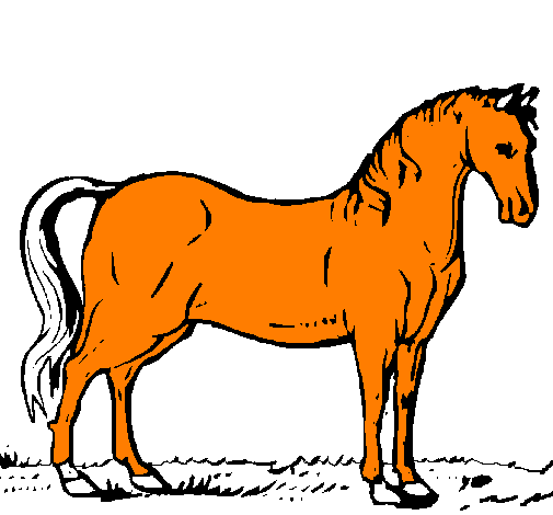 Desenho Cavalo andaluz pintado por Stella Gata